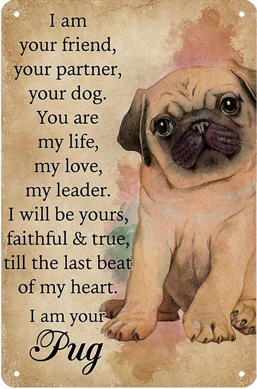 Letrero de metal con texto en inglés "I Am Your Friend Pug Dog Lover", 8 x 6 pulgadas, decoración de barra de pared de café vintage