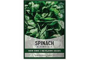Gardeners Basics, Bloomsdale Spinach Seeds for Indoor Planting
