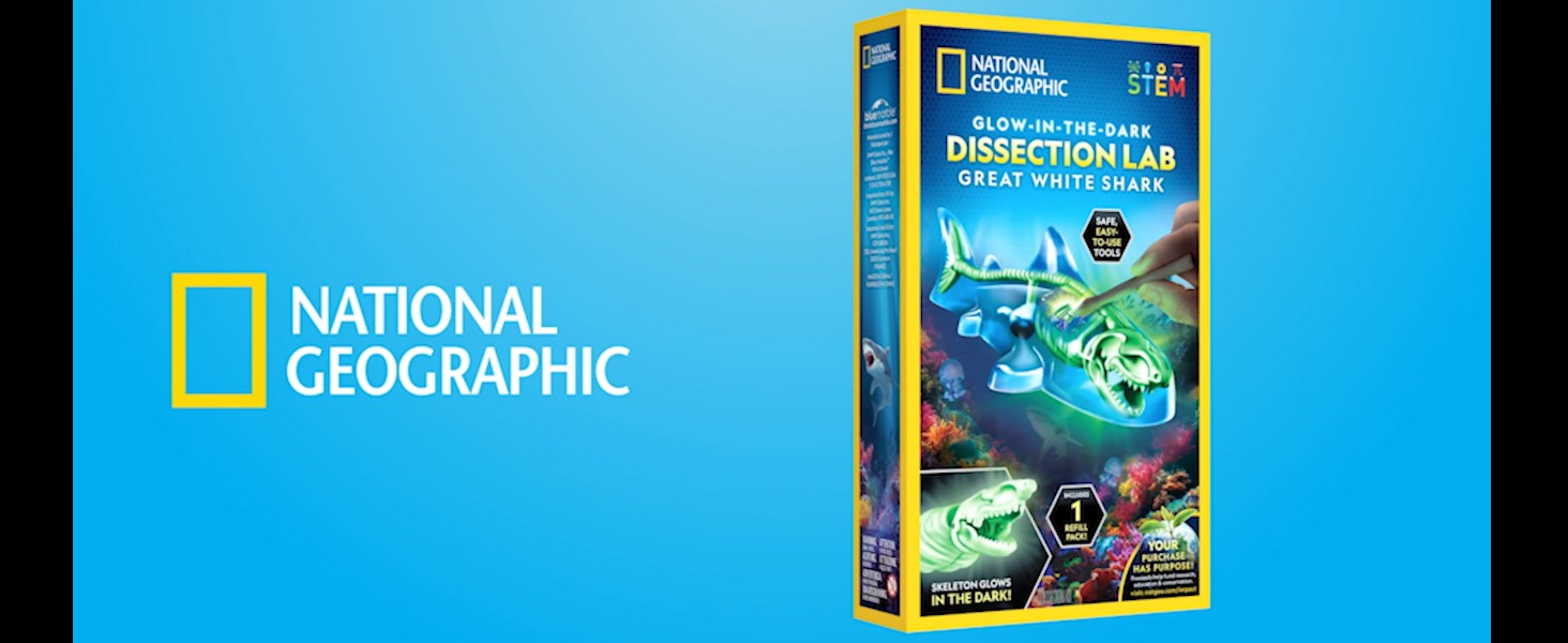 Amazon.com: National Geographic Shark Dissection Kit – Glow in the