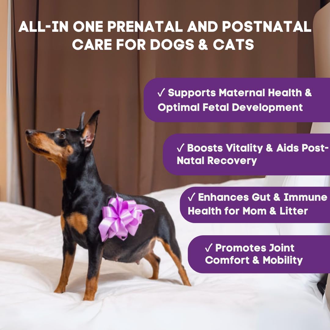 Prenatal Vitamins for Dogs & Cats Pre & Postnatal Supplement with Probiotics, Glucosamine, MSM, CoQ10, & Essential Vitamins Supports Pregnancy, Nursing & Recovery 90 Soft Chews (Salmon Flavor) - Image 2