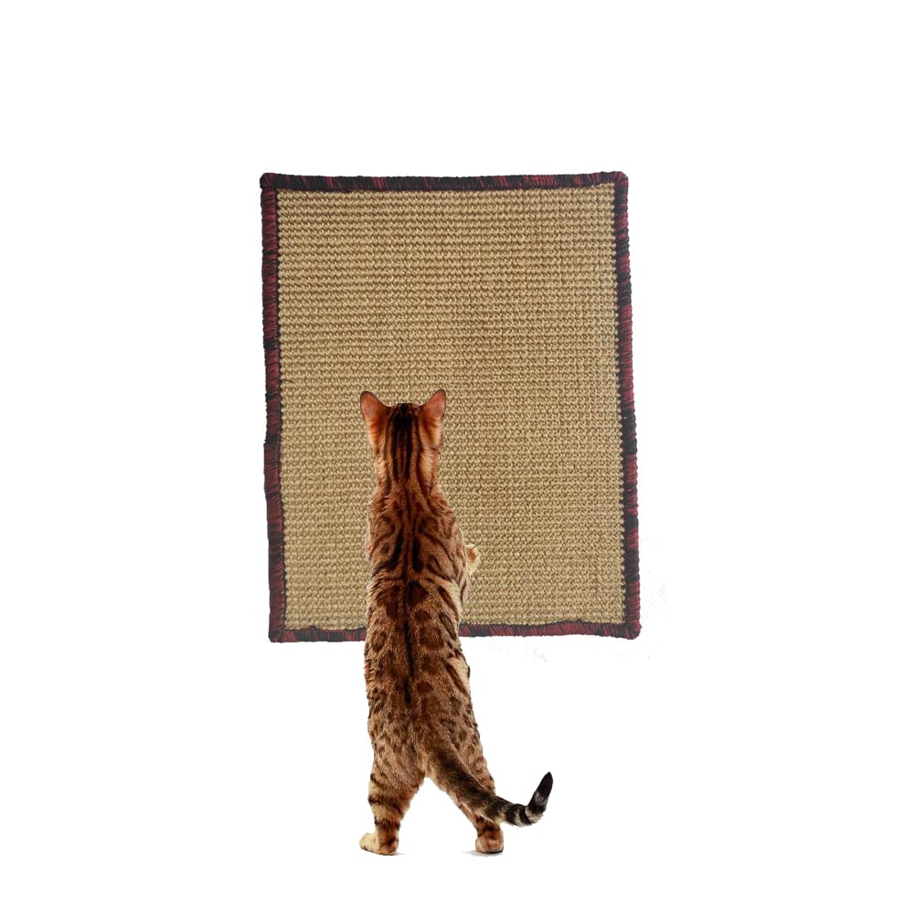 Mats Avenue® Multi Use Cat Scratch Pad/Cat Scratch Post Attachable with Double Side Gum Tape Brown Color 30x40 Cm for Kittens and Persian Cats Mini Ribbed Sisal (B0B2YFZLBT) Amazon Price History, Amazon Price Tracker