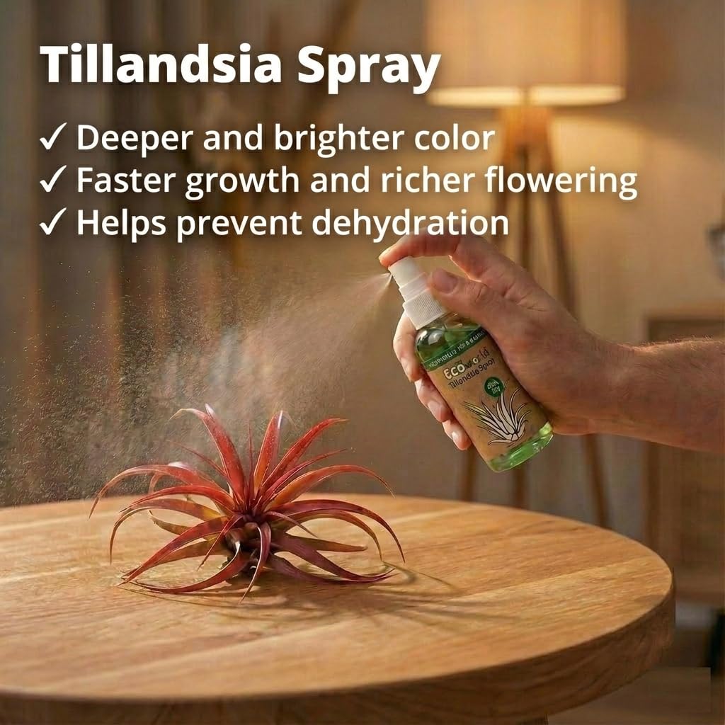 Vdvelde - Spray Tillandsia 125 ml x3 - Soin pour Plantes Aériennes - Spray Nutritif pour Tillandsias - Application Facile - Favorise la Croissance & la Vitalité - Vaporisateur Pratique