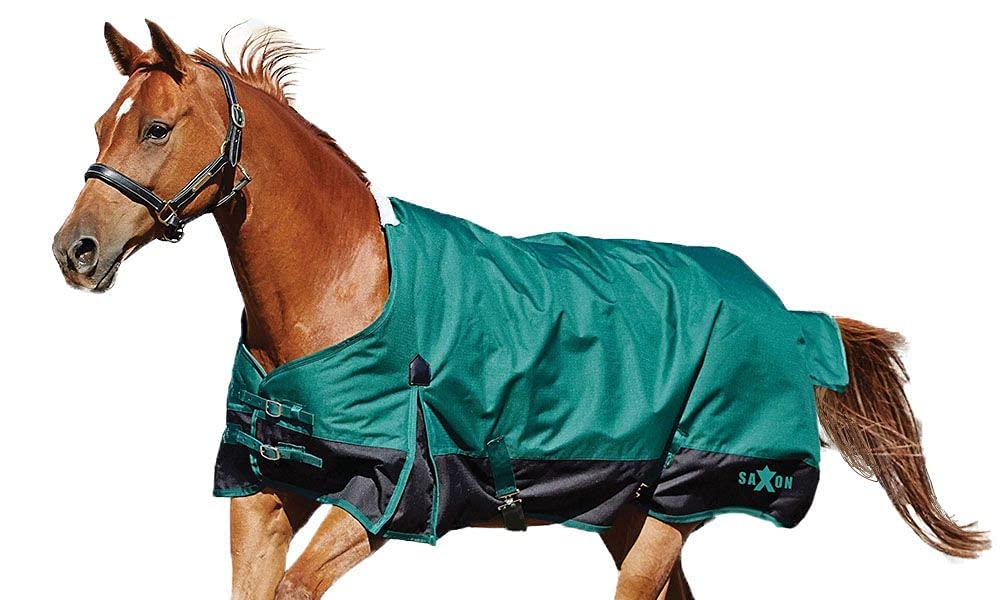 Couverture pour cheval 1200D hiver chaude pour éviter les frissons et l'humidité