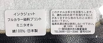 Amazon.co.jp: MONGOL 800 MESSAGE ジャケット ミニタオル