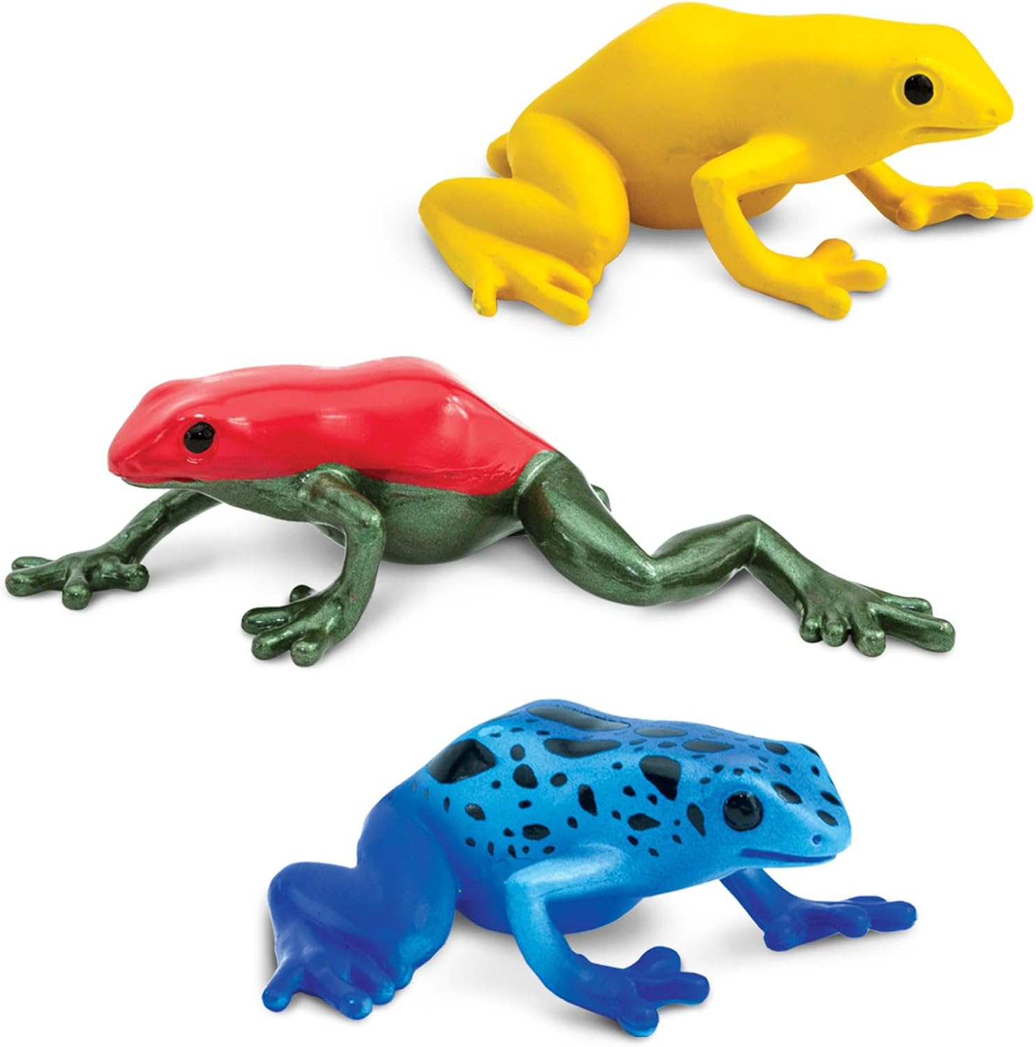 Safari Ltd. Poison Dart Frogs Toob - Detailed Figurines of Green, Blue, Yellow, Gold, Red, Sira Dart Frogs - Fun Educational Play Toy for Boys, Girls & Kids Ages 3+ - view 3