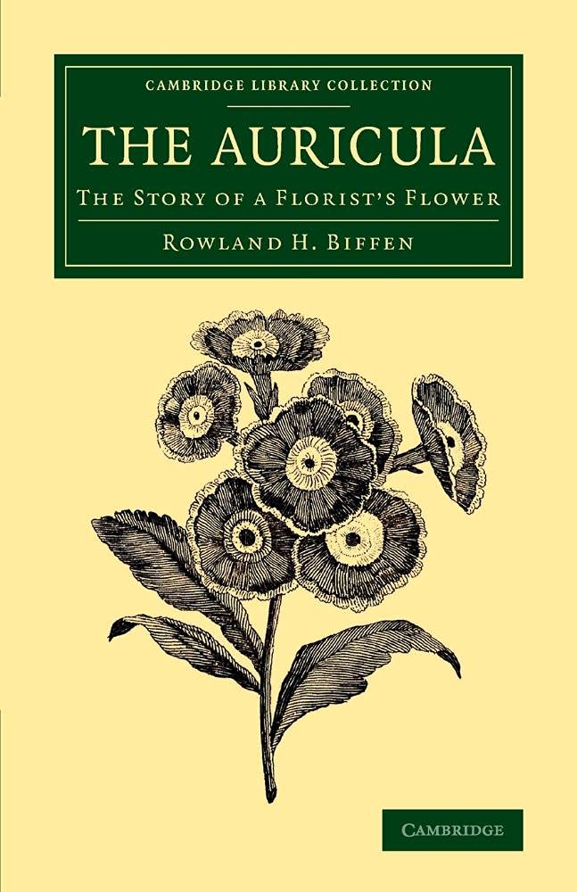 The Auricula The Story of a Florist's Flower Biffen Paperback 9781108073691