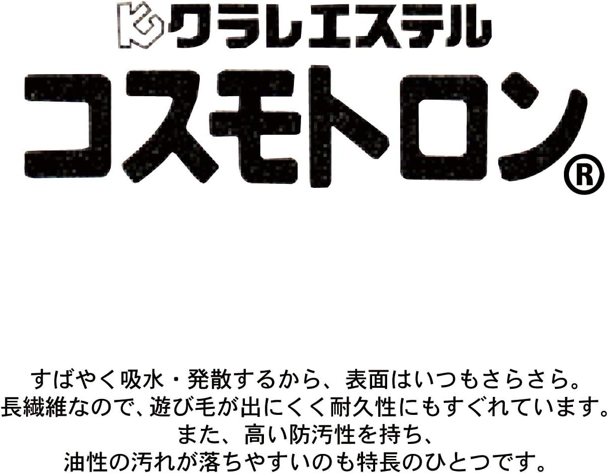 バスマット 吸水速乾 コスモトロン（R）浴室足ふきマット ライトグレー 約70×120 【バスルームシェルフアイアンアートラック】