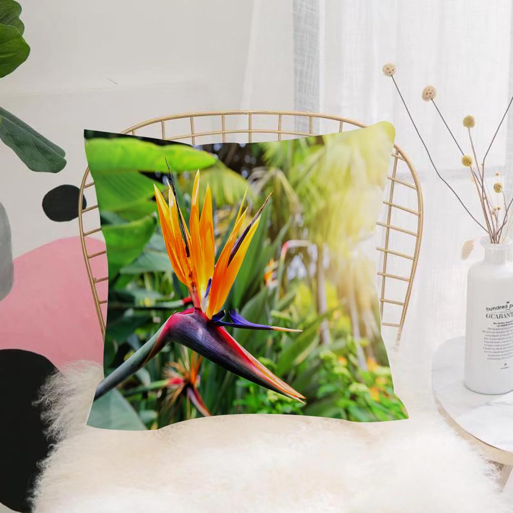 HYOSXW Cushion Cover,Throw Pillow Case Home Decorative for Living Room Bedroom Sofa Chair 16X16 Inch,Paradise Flowers and Birds, Birds of Paradise in the natural ine, tropical para,Pillowcase 40X40cm