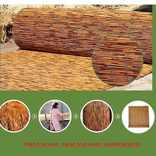 Roller Shades Bamboo Blinds Retro Reed Curtain Roman Sun Shade Cordless For Indoor/Outdoor Privacy 22X32In,36X32In (Color : 23X32In) #TOP1
