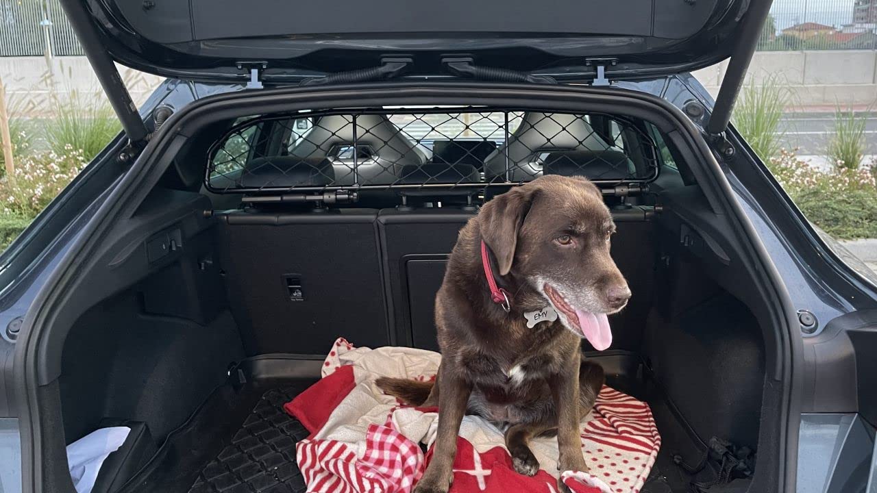 ERGOTECH Divisorio Griglia Rete Divisoria per Cupra Formentor, RDA65-HXXS8, per Trasporto Cani e Bagagli