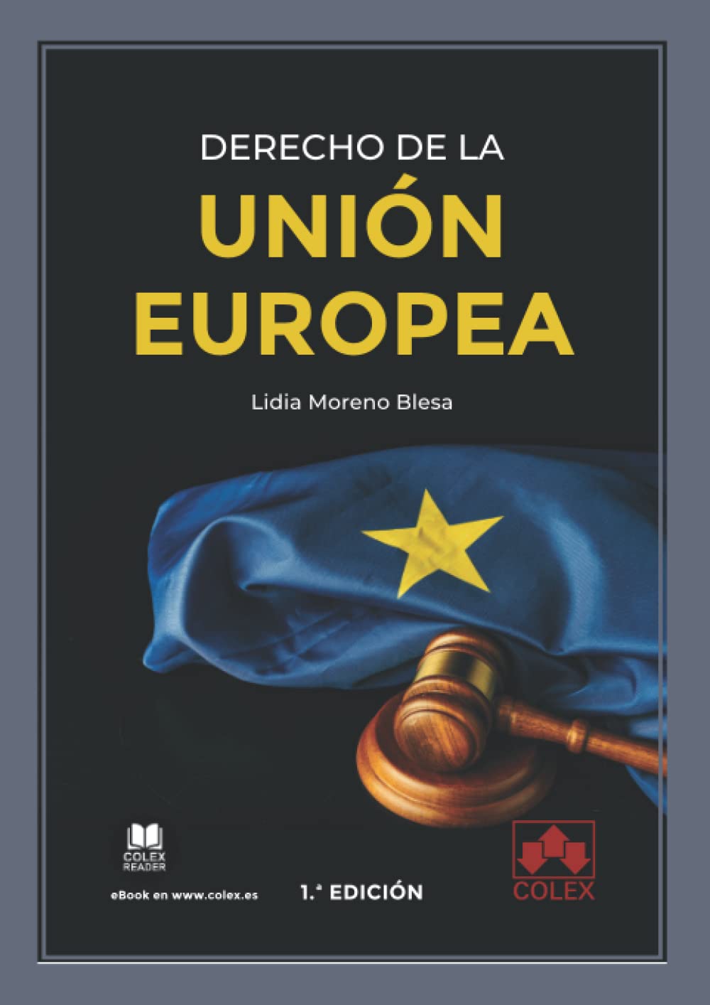Derecho de la Unión Europea: 1 (Monografía)