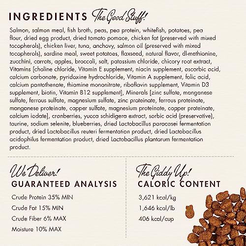 Fromm Four-Star Nutritionals Salmon Tunachovy Cat Food - Premium Dry Cat Food - Salmon Recipe - 10 Lb #TOP3