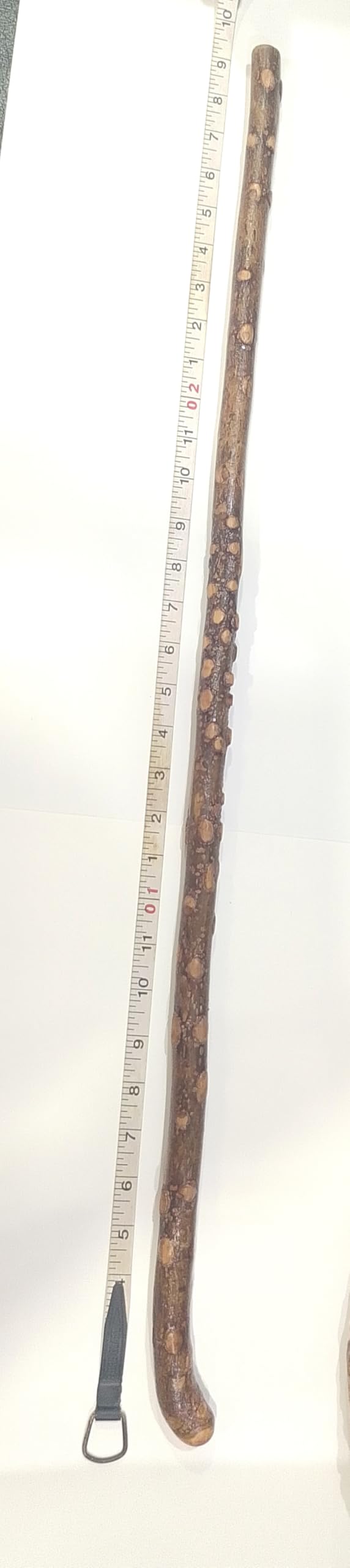 Tejbal ki lakdi, Narasimha Dand, Walkng stick Height 2 feet 9 inch other names are Tejbal Wood, Timru, Tumbaru, Tejphal, Narasimha Dand, Walkng stick-image-43