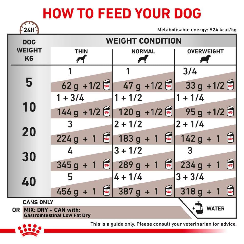 Royal Canin Veterinary Gastrointestinal Low Fat Mousse | 12 x 420 g | Mangime dietetico completo per cani adulti | Per il supporto digestivo e l'obesità.