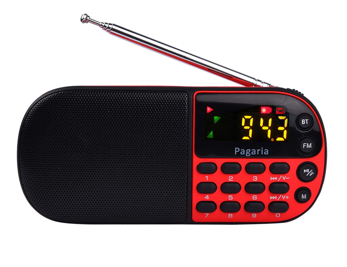 PAGARIA L837BT Portable Multimedia FM/Mp3 Player with Bluetooth,USB