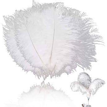 Pack of 30 Ostrich Feathers Natural Feather Plume Ostrich Feathers Ostrich Feathers DIY Decoration Ostrich Feathers for Wedding Centrepieces Home Decoration White 15-20 cm