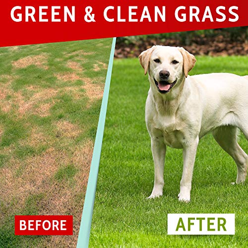 Image of PAWFECTCHEW Dog Pee Grass Helper - Grass Treatment for Dog Urine - Dog Urine Neutralizer for Grass Burn Spots - Dog Pee Lawn Repair Treats with Probiotics - Made in USA - 120 Chews