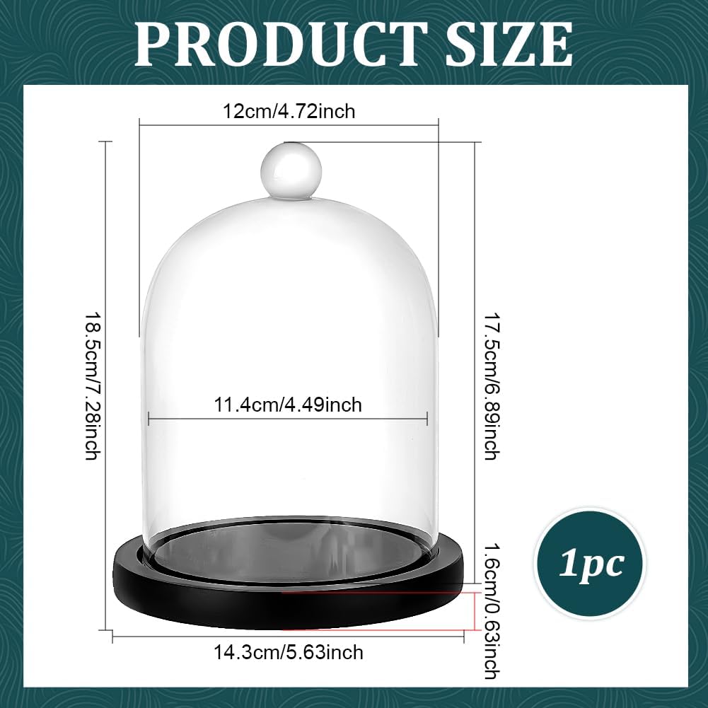 PH PandaHall Cloche Glass Dome Black Wooden Base Bell Jar Clear Glass Display Dome with Top Handle Cloche Bottles Display Case for Plants Flower Clay Succulents Antique Collectibles, 5.63x7.28inch image 2