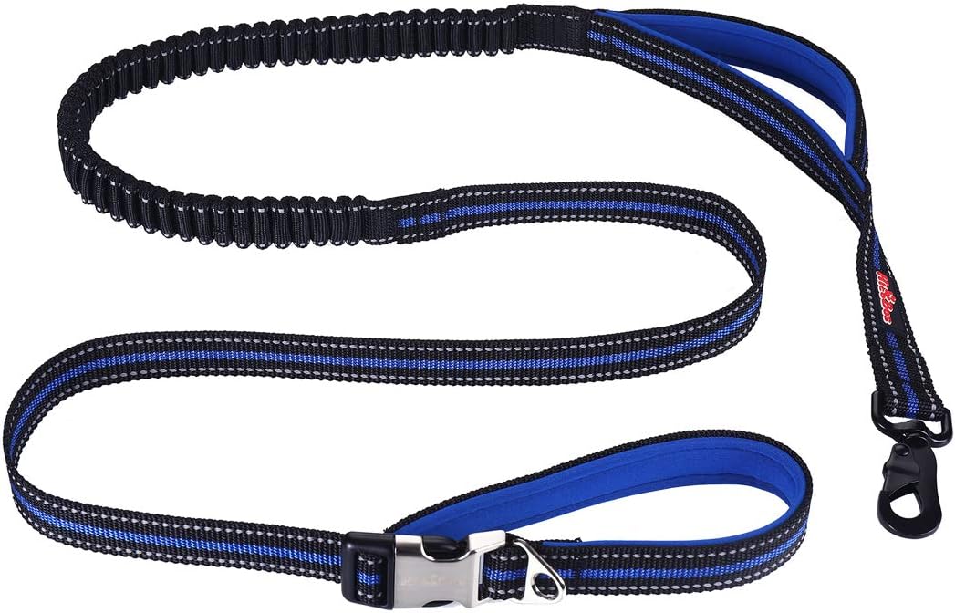 hicobos dog training collar