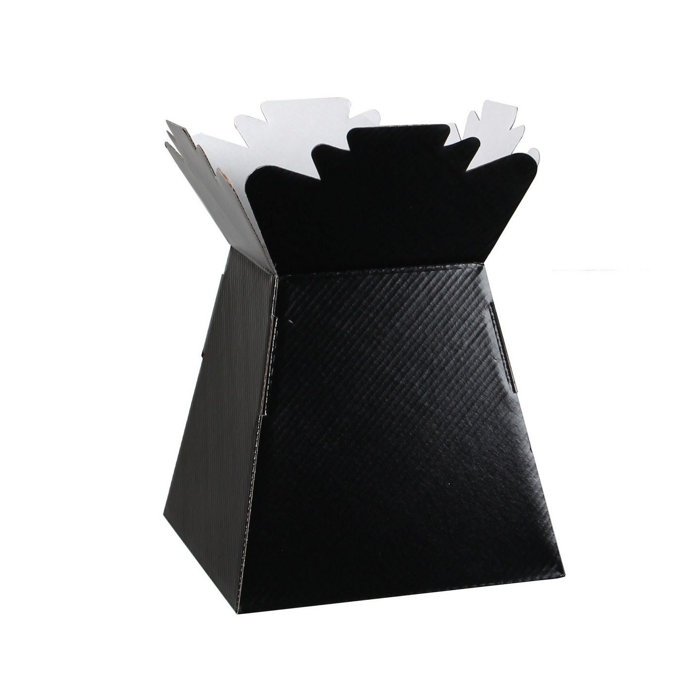 Cng Florist Cundries Black 10 Transporter Box/Living Vase Glossy (3805)