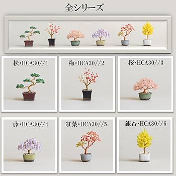 Amazon.co.jp: MIYUKI（ミユキ） ネジッテBONSAIキット 『松・HCA30-1