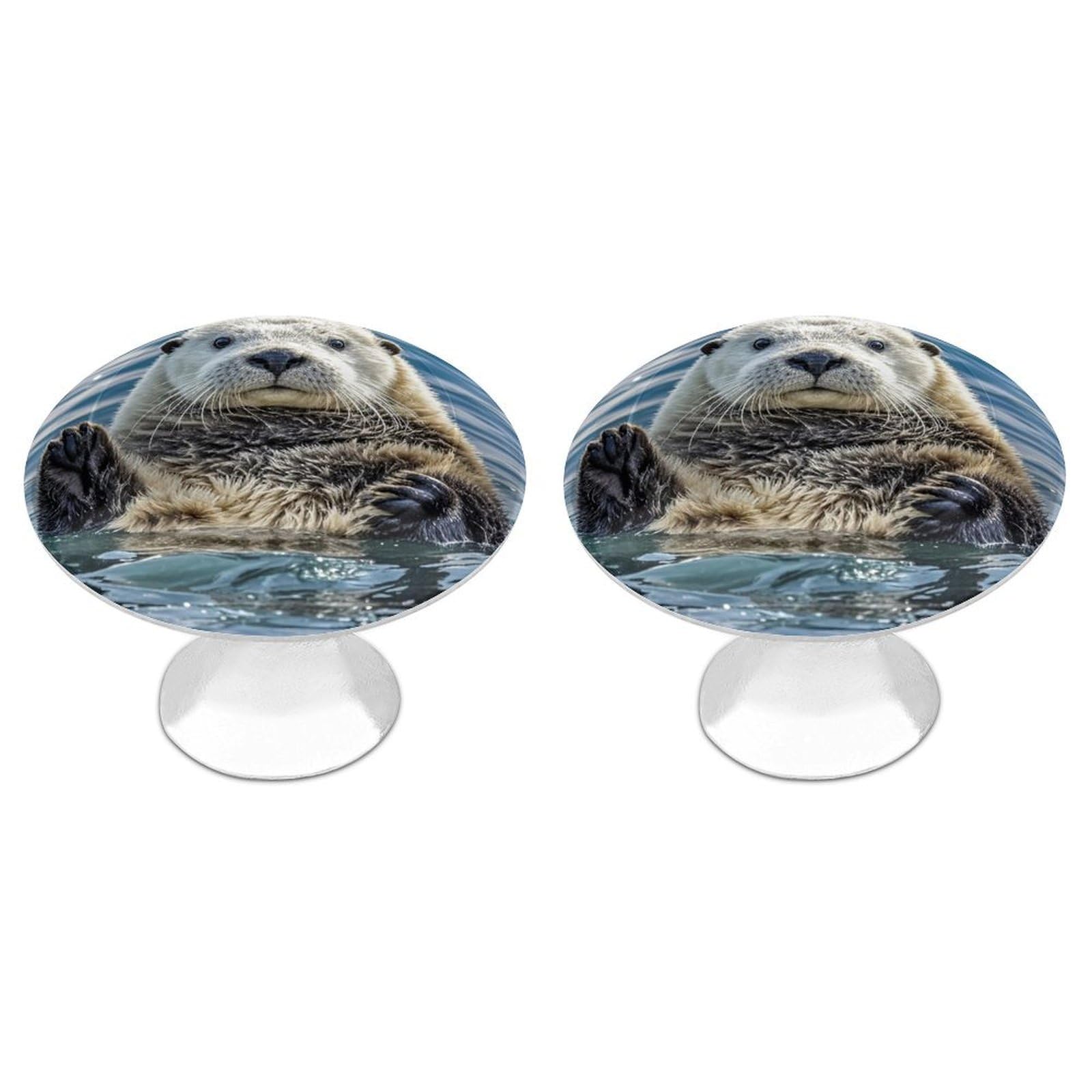 FekiLoot Round Cabinet Knob 2 Pack Kitchen Drawer Knobs Stainless Steel Round Drawer Pulls Modern Cabinet Hardware Sea Otter Drawer Hardware for Dresser Closet Door Knobs