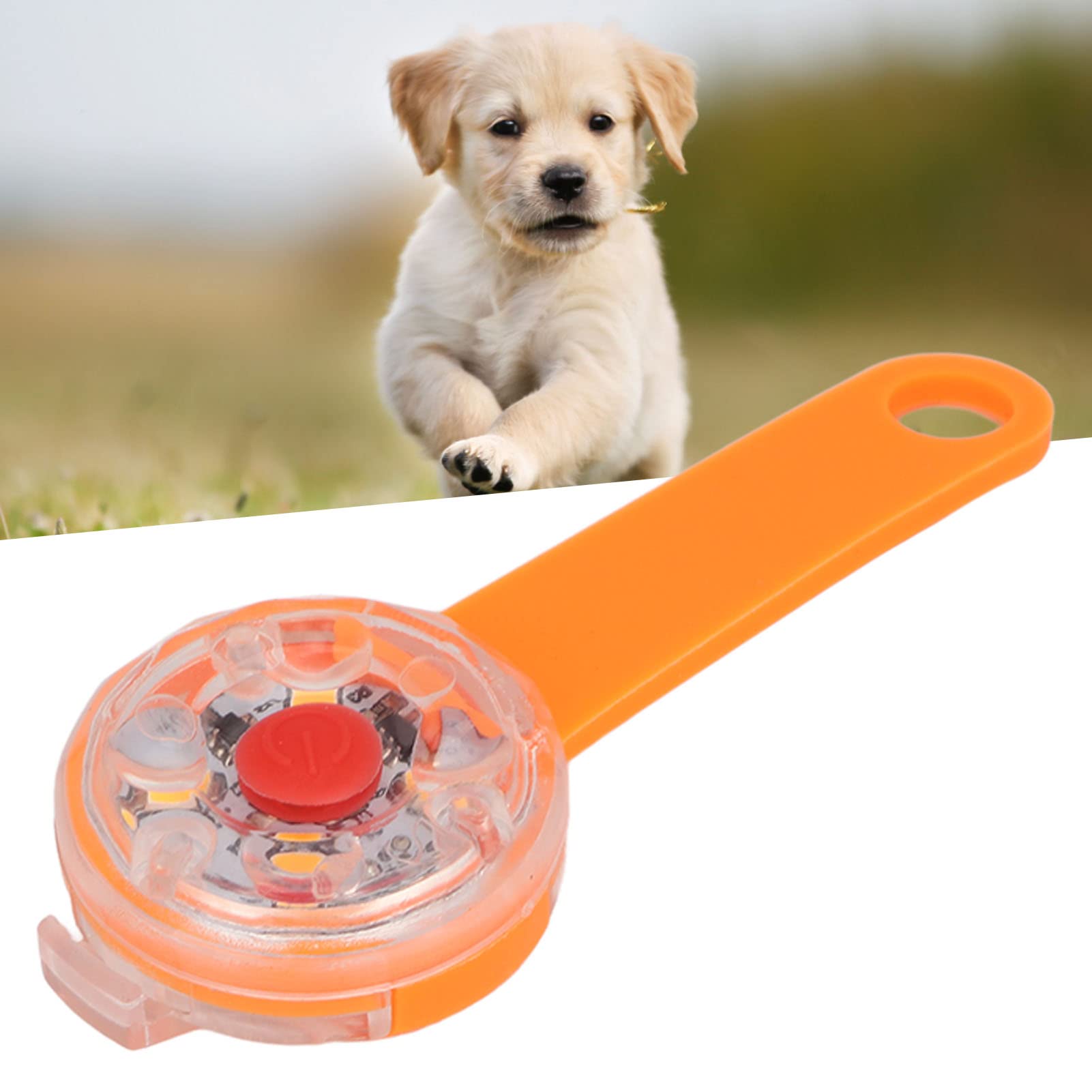 Luce a LED per cani, ricaricabile tramite USB, impermeabile IPX7, con 3 modalità di illuminazione, per collare, borsa, bici e animali domestici. (Arancia)