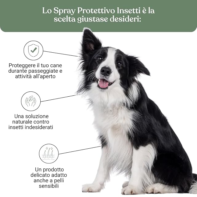 Foto 3 de 8 de BAU Spray Repelente de Insectos para Perros - Antipulgas y Garrapatas Natural con Geranio y Neem