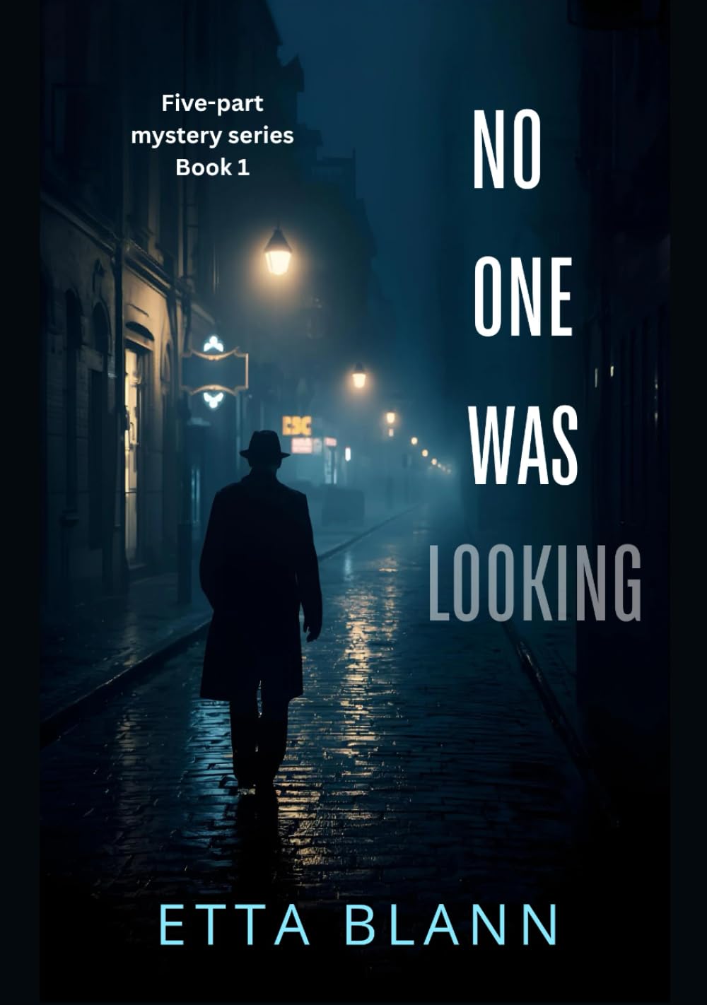 NO ONE WAS LOOKING (The Silent Cases)
