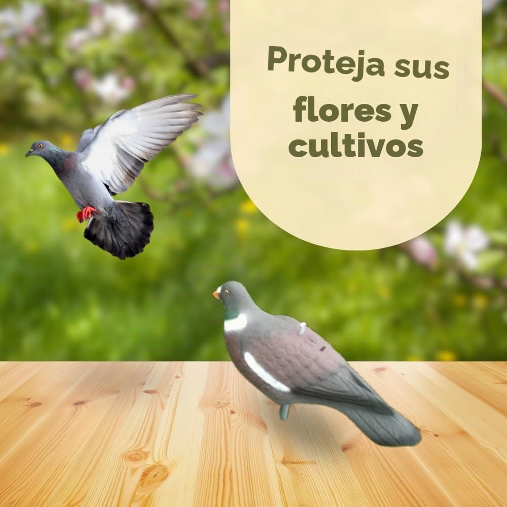 HHH Caza 6X Media Concha Flocado Paloma Cebo Bird Caza señuelos con Clavijas Bird Llamando Accesorios para Caza Y Tiro