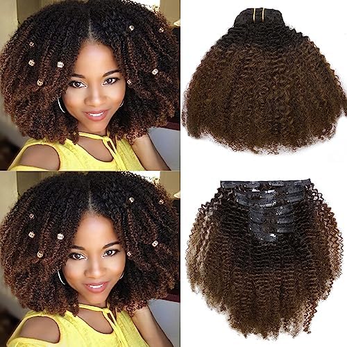 Afro Kinkys Curly Hair Extensions Clip In Human Hair 4B Natural Hair Clip Ins Full Head Afro Curly Clip In Hair Extensions For Black Women Dark Brown Kinkys Curly Clip In Hair Extensions 10Inch # 1b/4