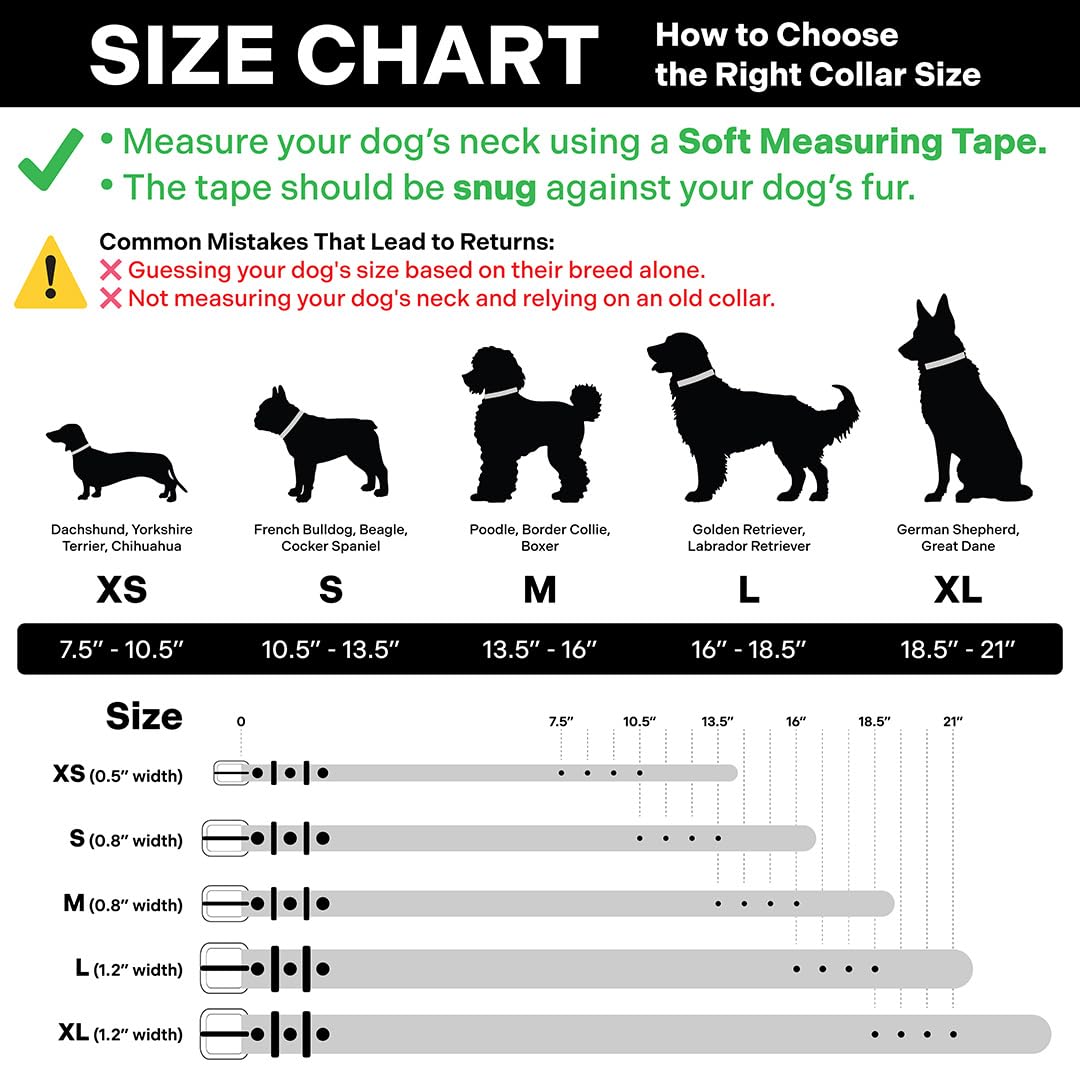Scout Supply - Collar clásico de cuero para perro, cuero grueso de grano completo, herrajes de latón impermeable y resistente al óxido (marrón oscuro, pequeño)