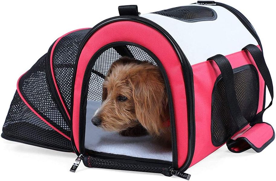 Vettori per il trasporto di SUV