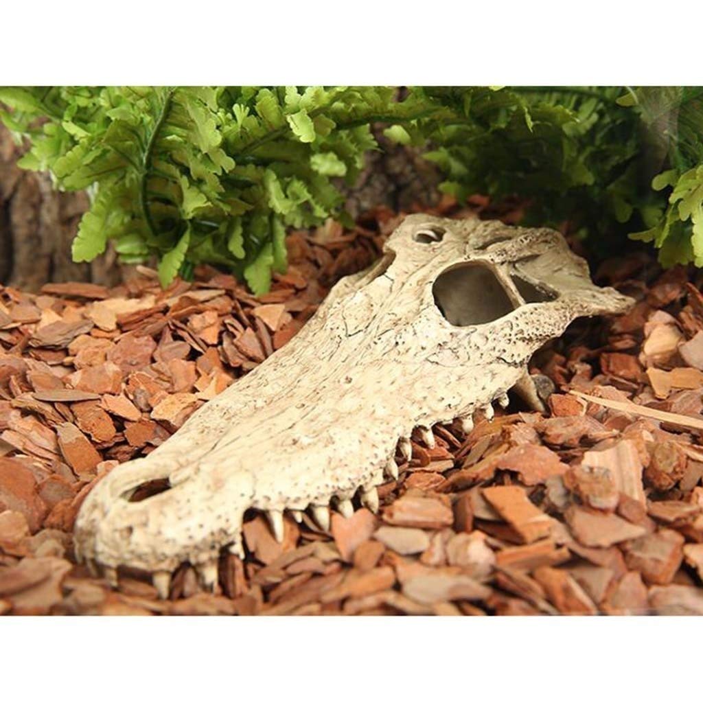 Escondite de Descanso, escondite de Caja de Reptiles para Acuario de Anfibios - Decoración de Esquina de hábitat Escondites de Tortugas de Serpiente Lagarto