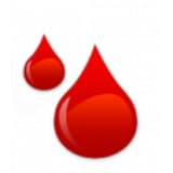 Mind Storm Software Pvt. Ltd.