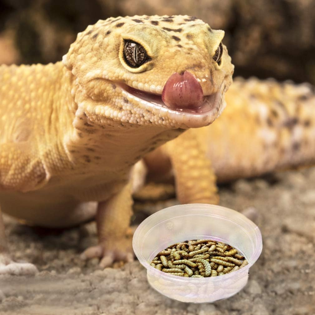 SunGrow Reusable Gecko Food & Water Cups, 100 Pcs, 1 oz. Recyclable Plastic Bowls, Fits Small Stands & Feeders, Durable & Easy to Clean, Ideal for Reptiles - in Resealable Bag