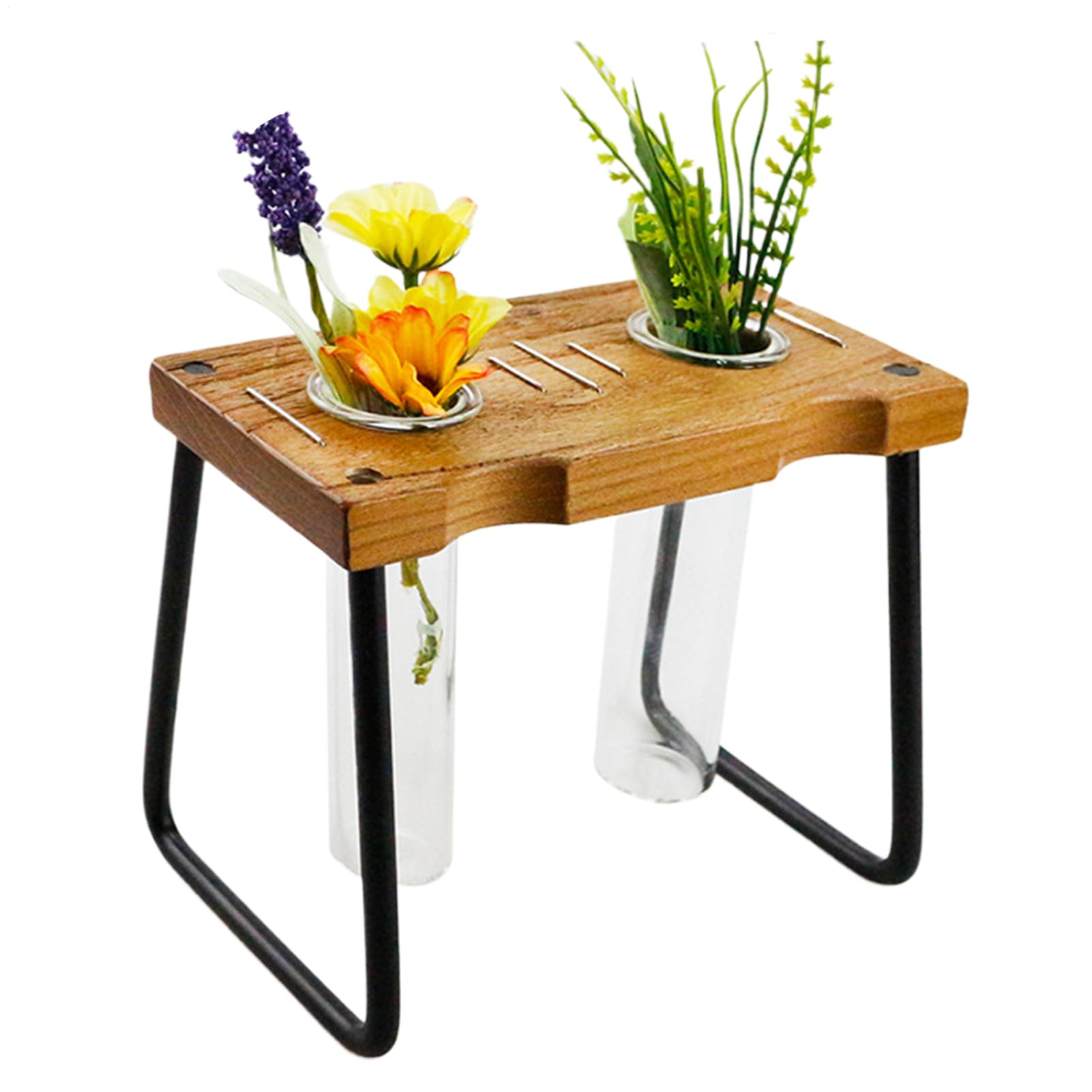 Conteneur décoratif en verre pour bouturage et plantes d'intérieur
