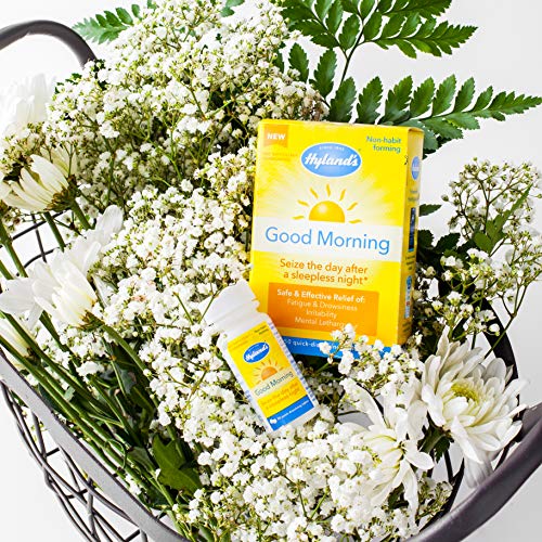 Jet Lag Homeopathic Relief Remedy Tablets By Hyland's Good Morning, Quick Dissolving Natural Relief Of Fatigue, Irritability And Mental Lethargy, 50 Count #TOP5