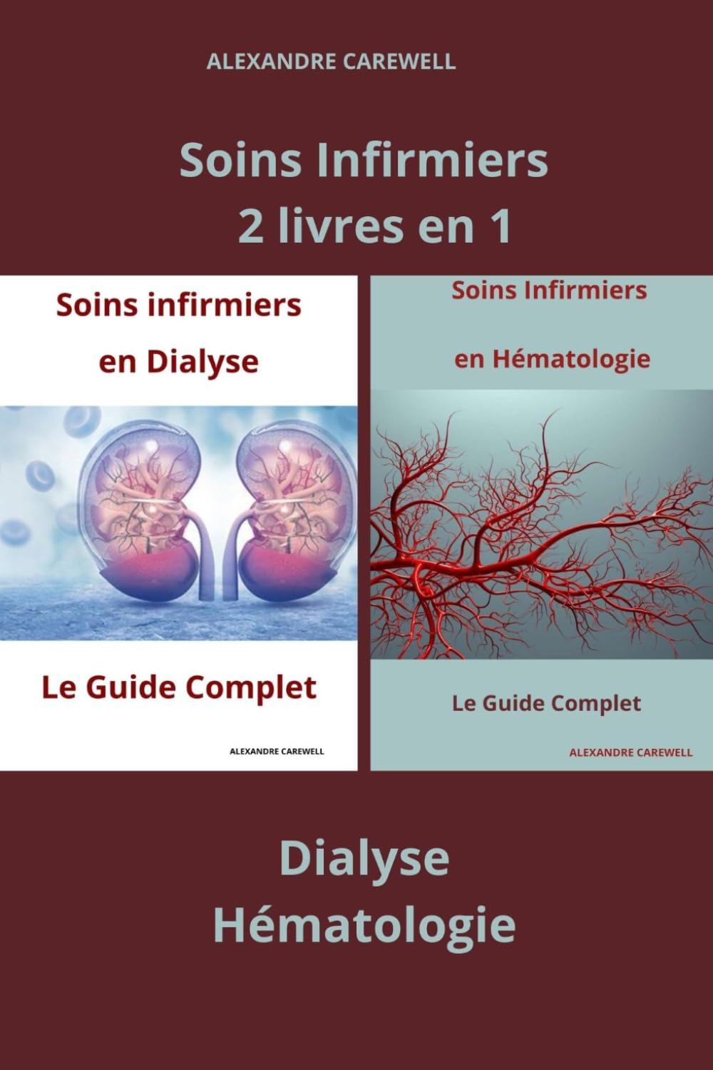 Soins Infirmiers 2 livres en 1 Dialyse, Hématologie
