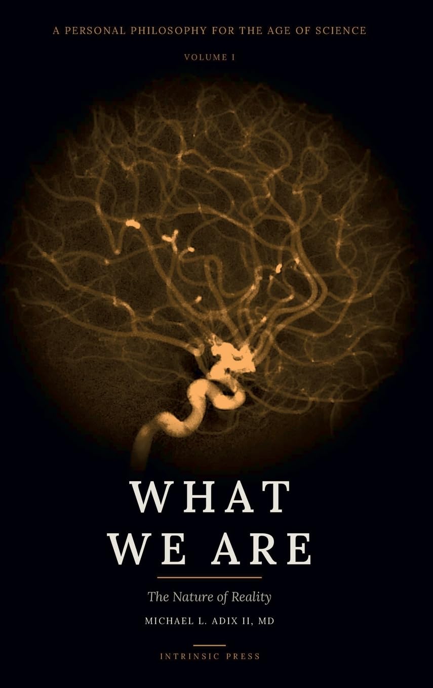 What We Are: Volume I: The Nature of Reality