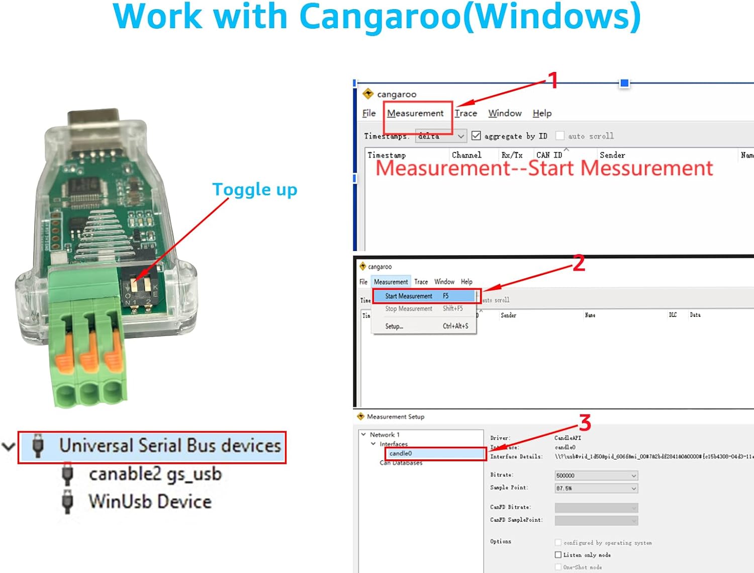 Screenshot showing DSD TECH SH-C31A working with Cangroo software