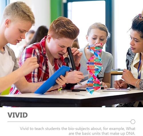 Miniatura 5 de Housoutil 2 modelos de ADN Kit de enseñanza de ciencia de doble hélice - Modelo educativo de genes DIY para niños, ideal para el aprendizaje en el