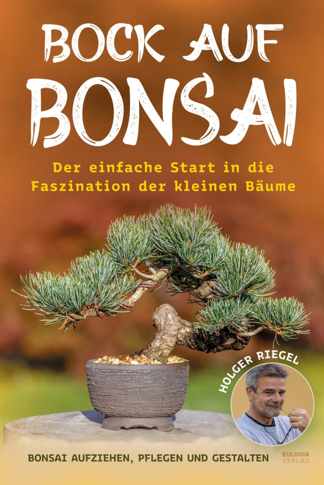 bambus kissenbezug Revolutionäres 100% Bambus-Decken- und Kissenbezug-Bundle Q Max 0.2