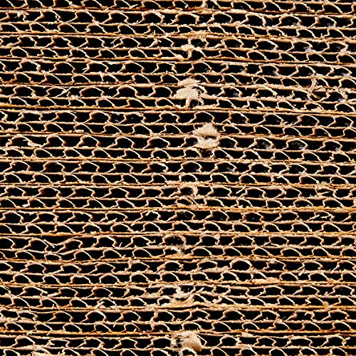 Pet Injet Refil Cat Crazy Brinquedo Para Gatos Para Gatos