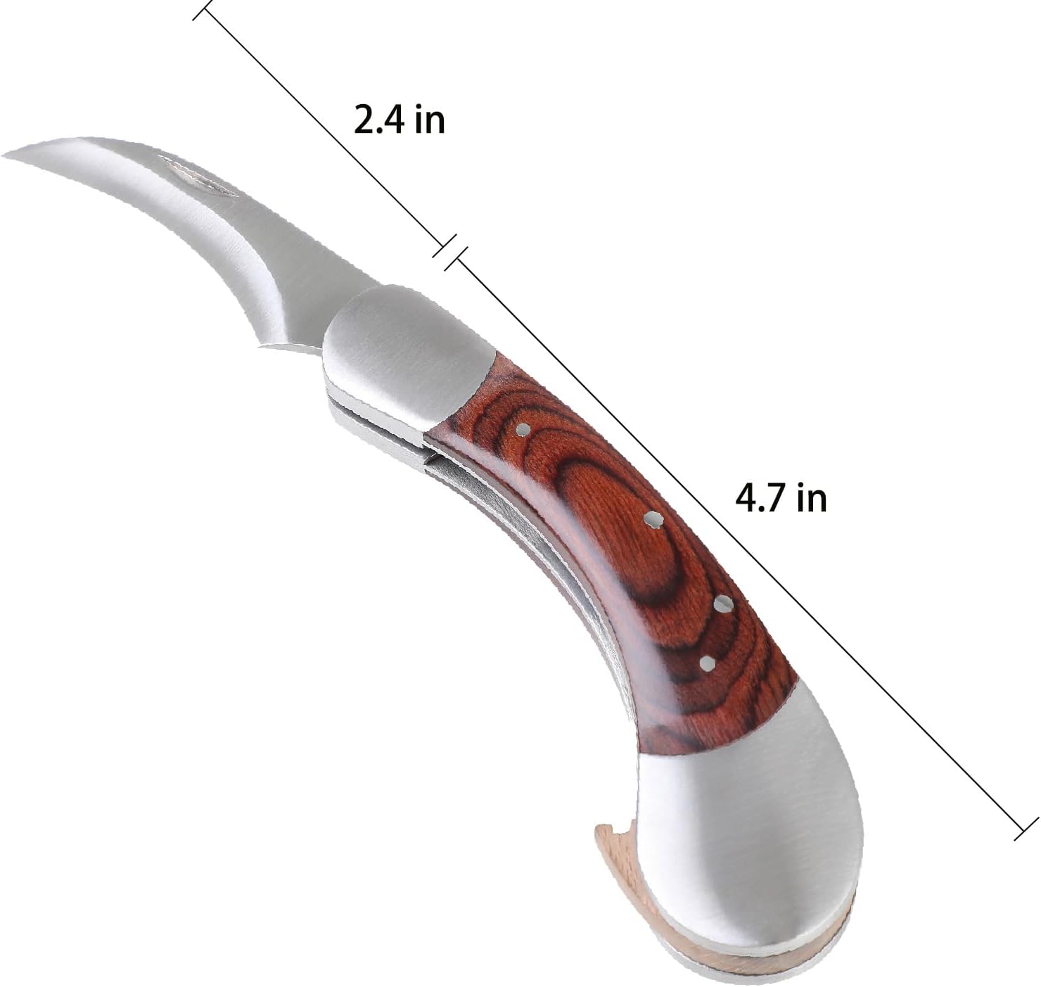 Mushroom Knife with Brush and Sheath, Curved Stainless Steel Blade, Hardwood Handle, 7.1 Inch Folding Design, for Morels, Porcini, Chanterelles, Foraging Mushroom Gifts