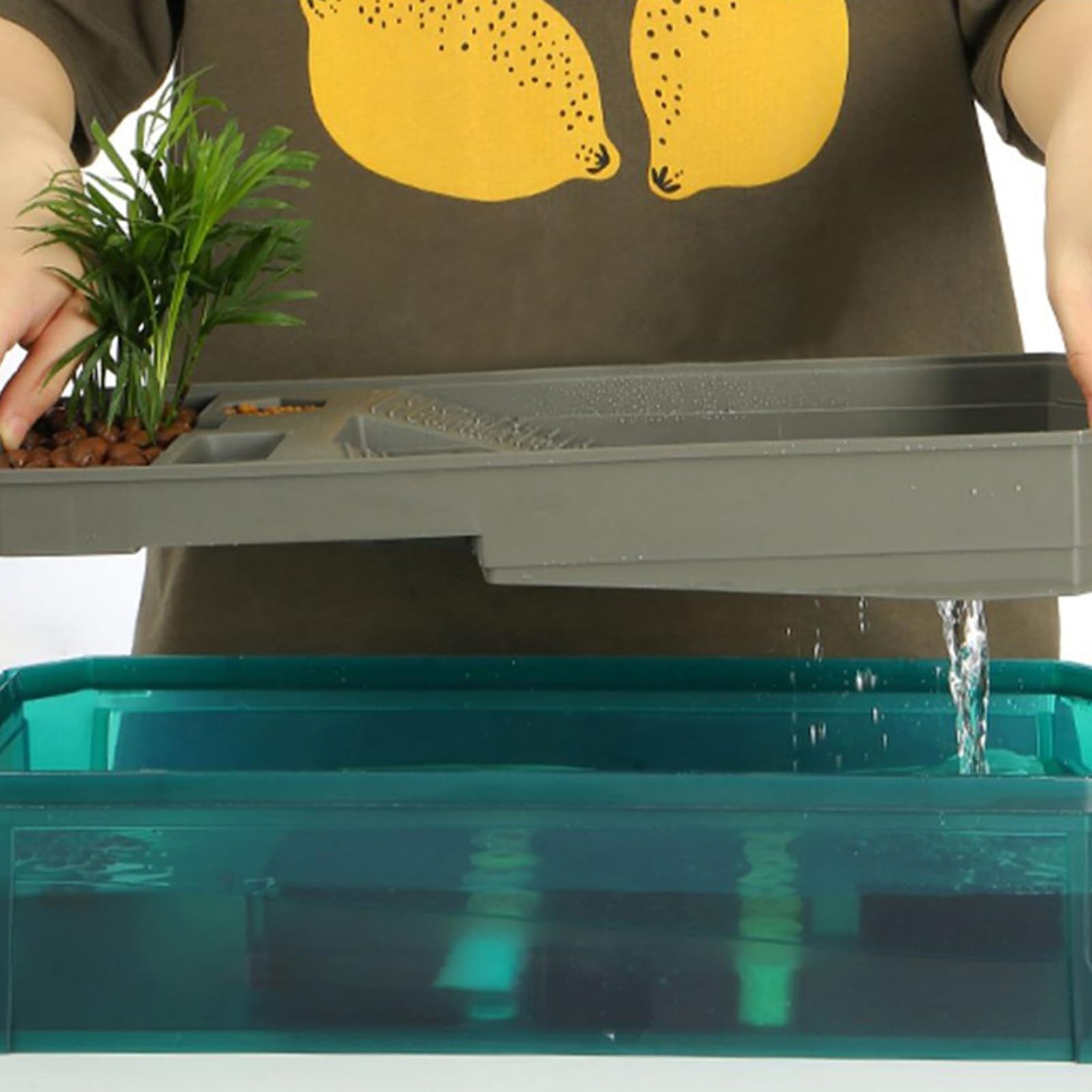 Acuario para Tortugas | Caja de Hábitat Interior Multiusos con Filtro | Hábitat Natural para Hierba Blanca