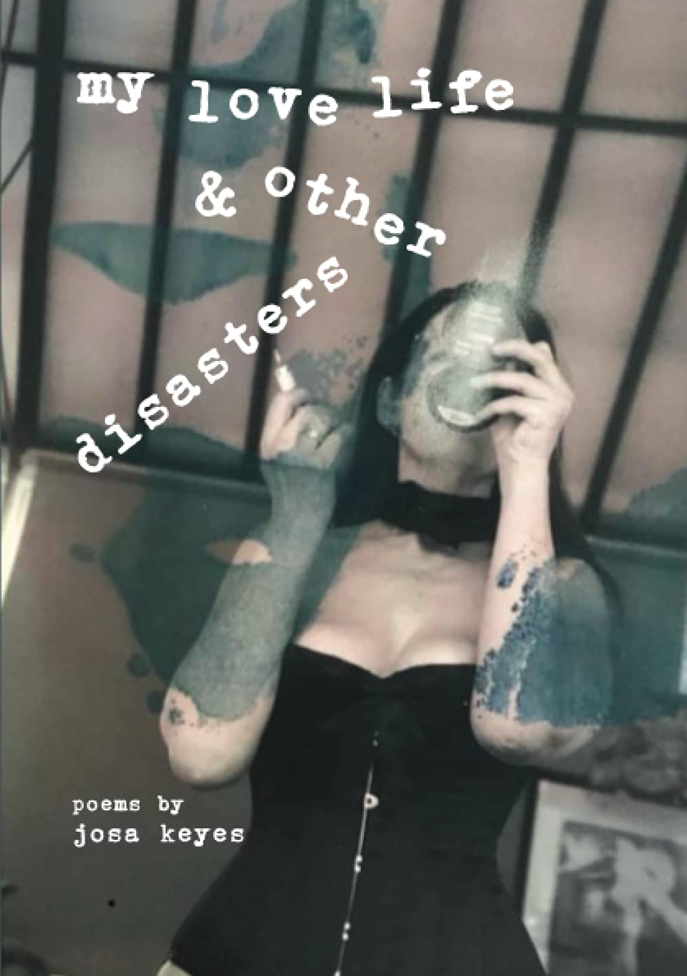 My Love Life & Other Disasters: Poems
