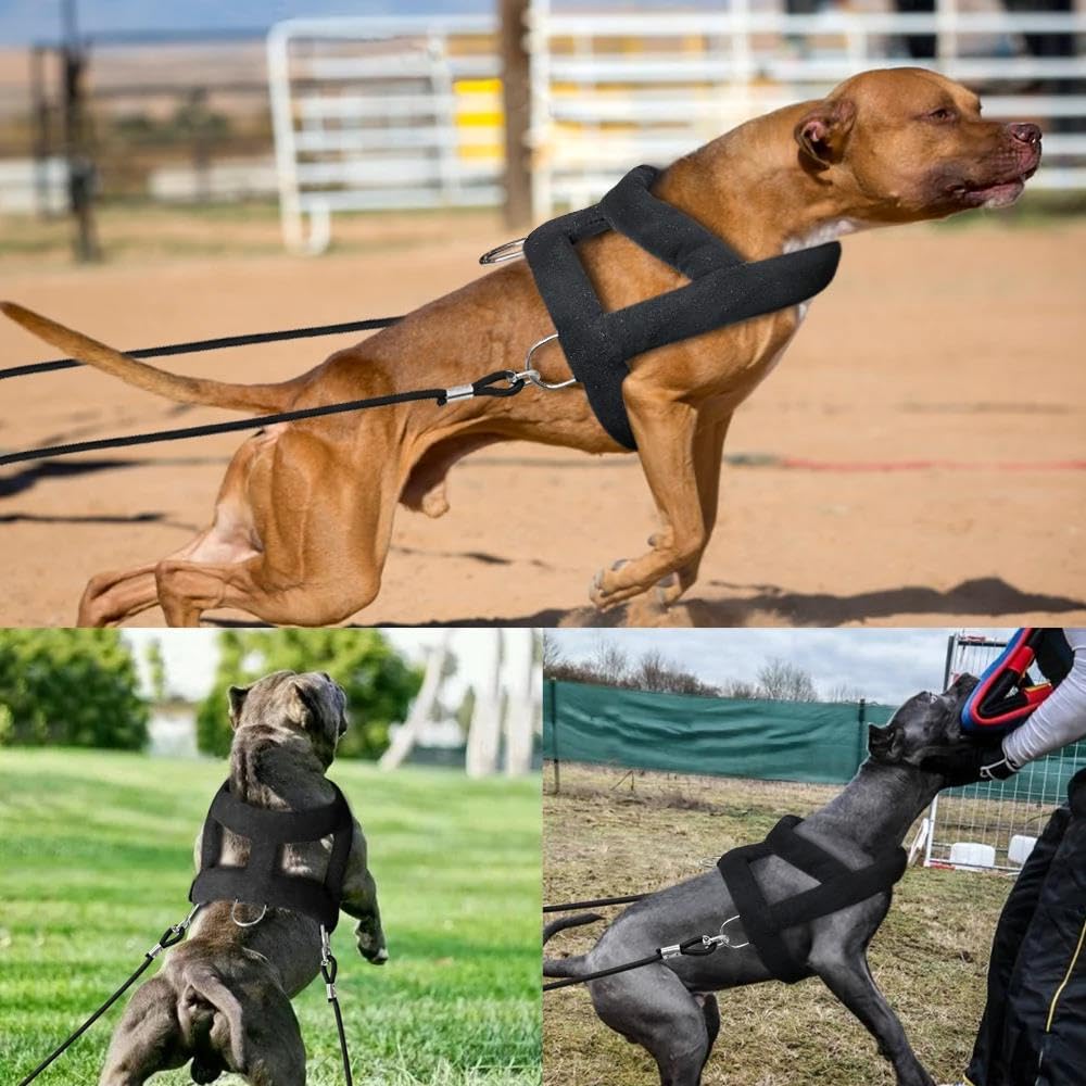 Arnés De Trineo para Perros De Trabajo, Mediano A Grande, Chaleco con Correa Ponderada para Perros, Arnés Ajustable para Entrenamiento De Perros, Caza, Acampada, Pastor Alemán, Labrador, Bulldog