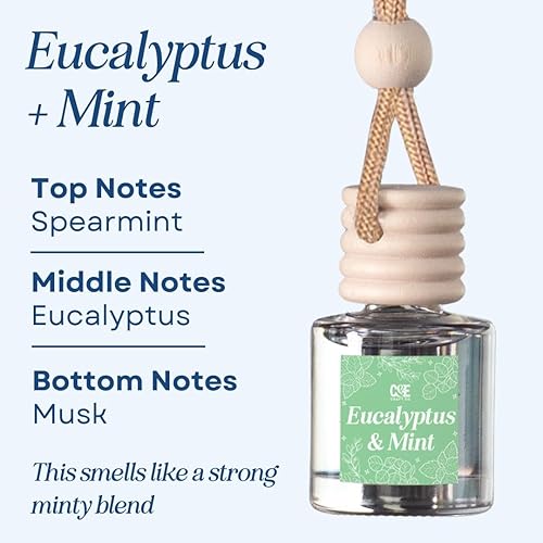 Miniatura 10 de CE Craft Cactus Bloom - Difusor de aceite de fragancia colgante de aire para automóvil, difusor de ambientador de coche para aceites esenciales,