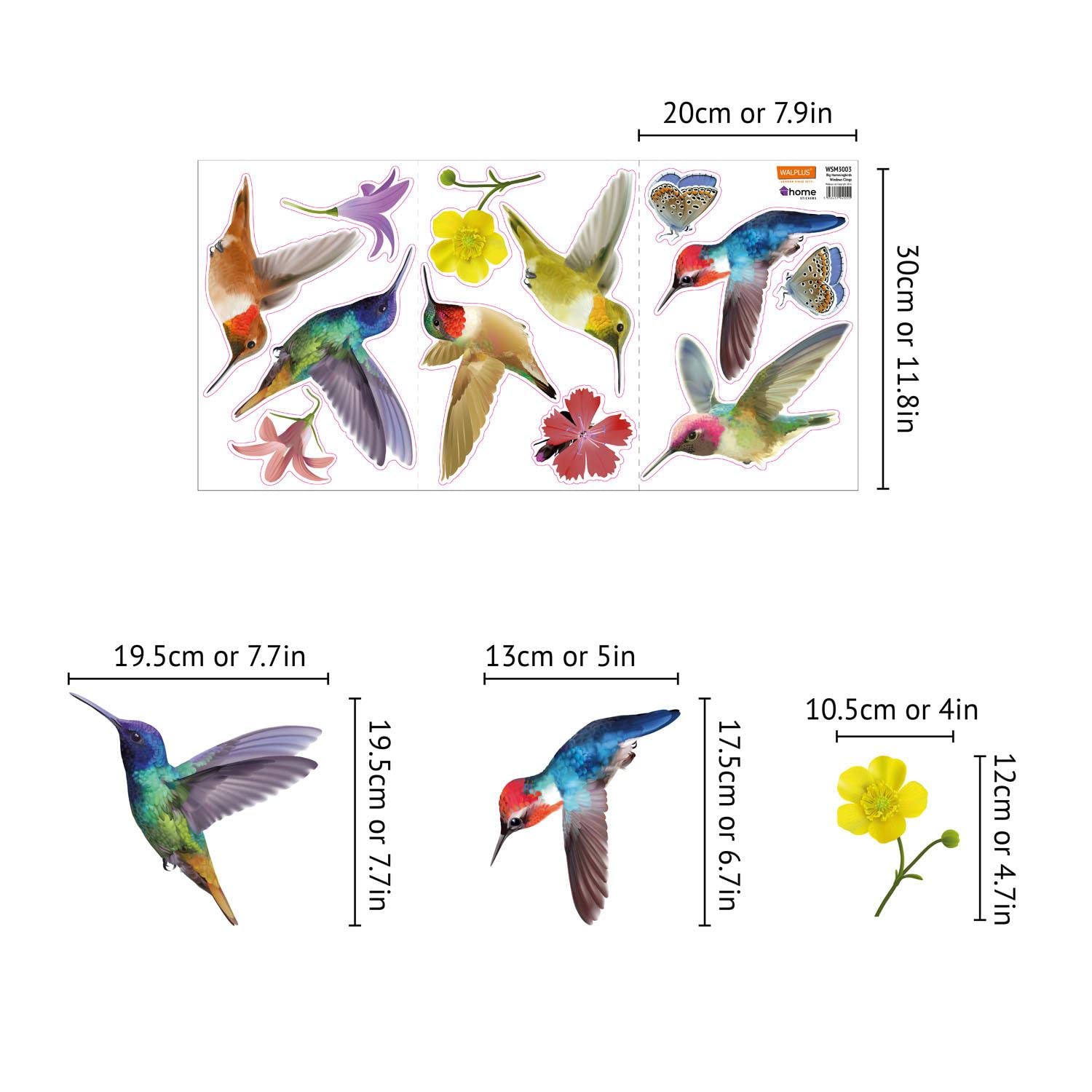Walplus Adesivi Per Finestre Perfetti Per Regali Facili Da Usare Decorazioni Decorazioni Per La Casa Camere Da Letto Bagno Frigoriferi Grandi Colibrì Finestre Si Aderiscono 12 Pezzi Multicolore